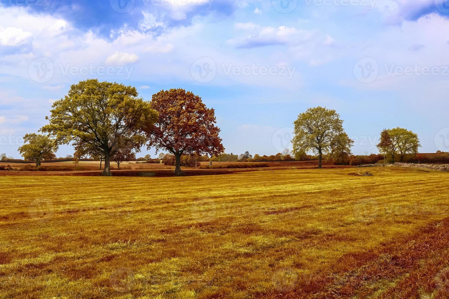 prachtig panoramisch uitzicht op een gouden herfstlandschap gevonden in europa foto