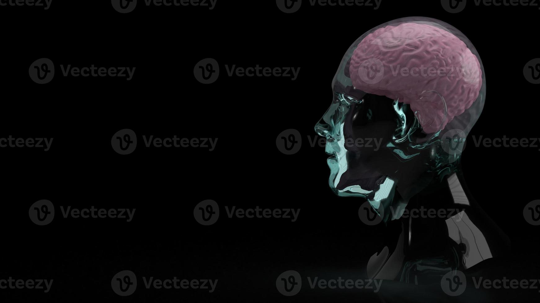 de hersenen in kristallen hoofd voor onderwijs of sci-inhoud 3D-rendering foto