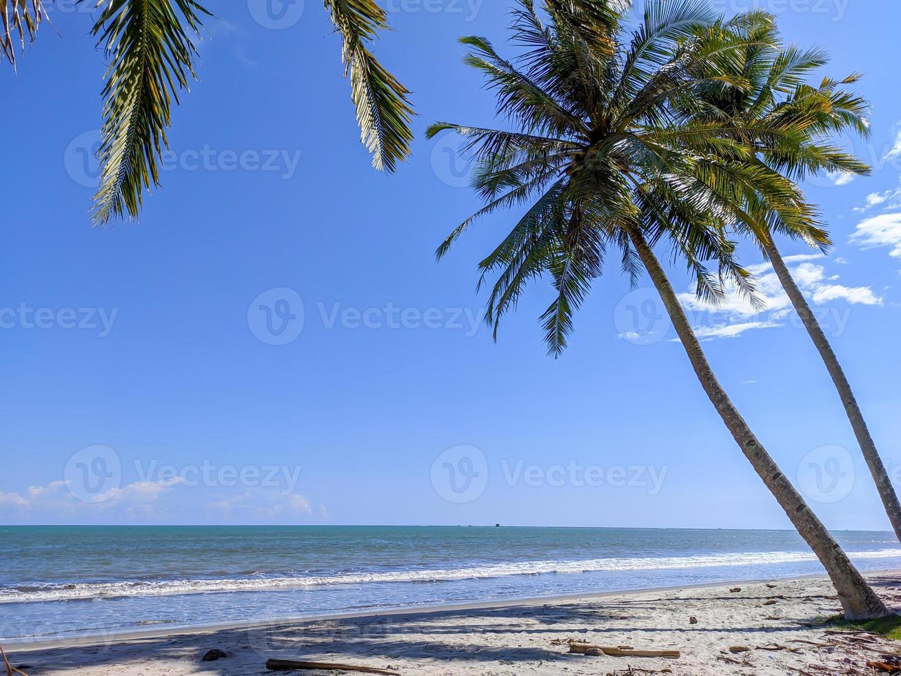 prachtig uitzicht aan het strand op een zonnige dag, blauwe zee en lucht, kokospalmen, groen gras en zand foto
