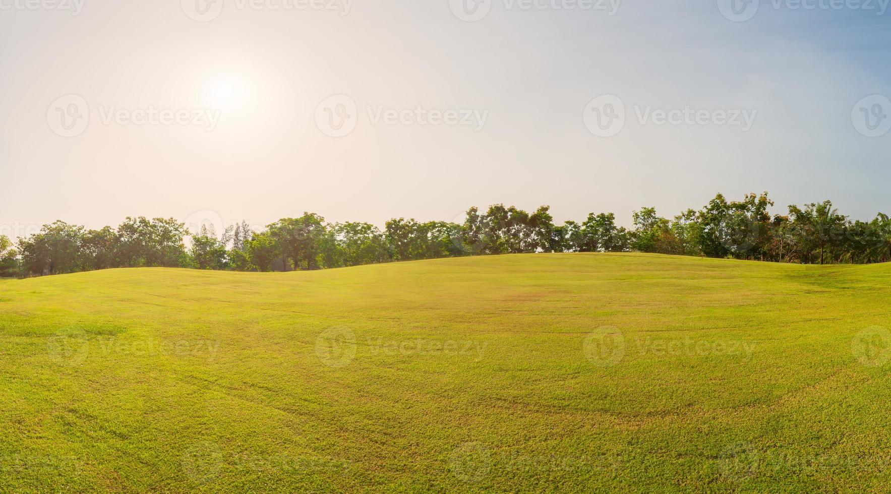 panorama groen gras op golfveld in everning time foto