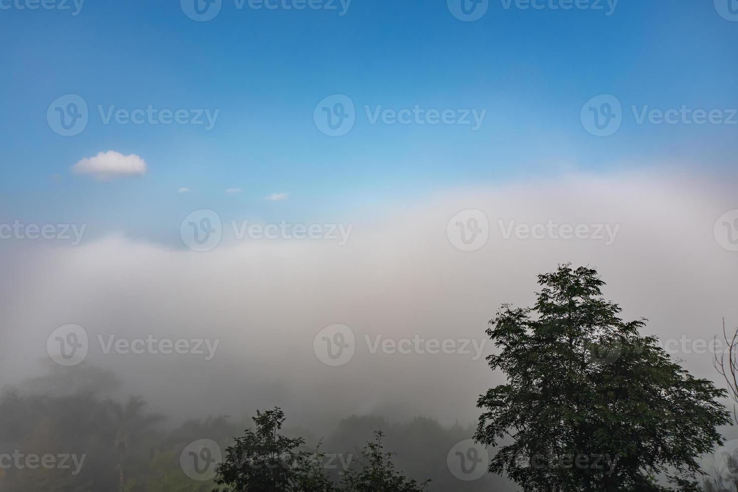 natuurlijk fenomeen. mistboog of witte regenboog komt boven de mist voor. foto