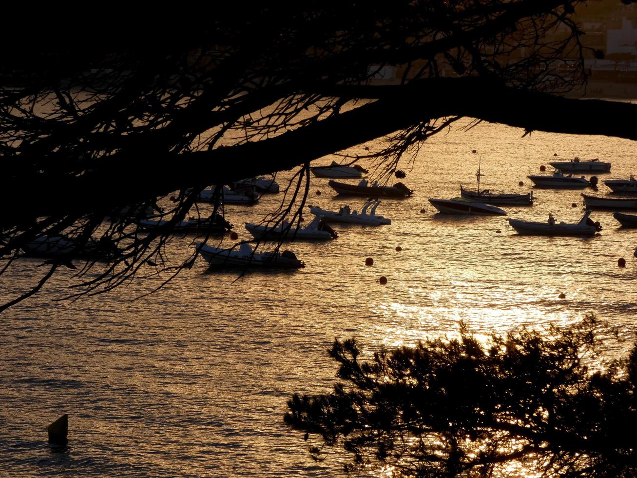 achtergrondverlichting van sportboten voor anker in een baai foto