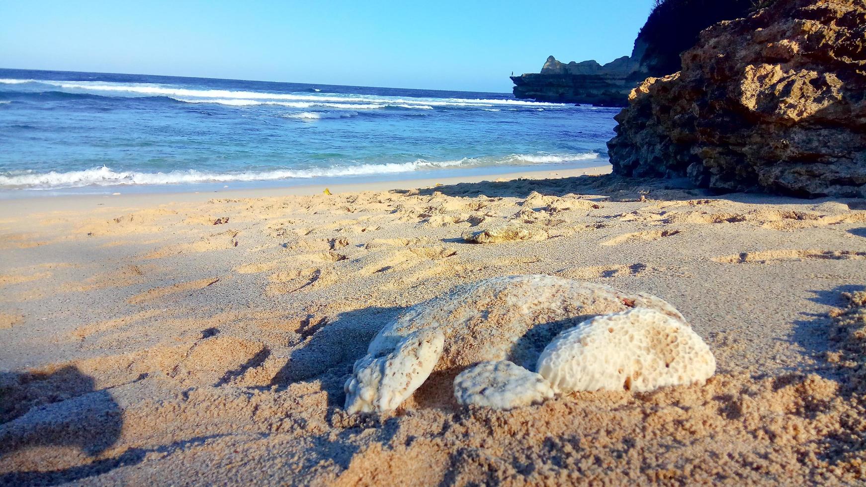 wit koraal ingebed met wit zand op het strand foto