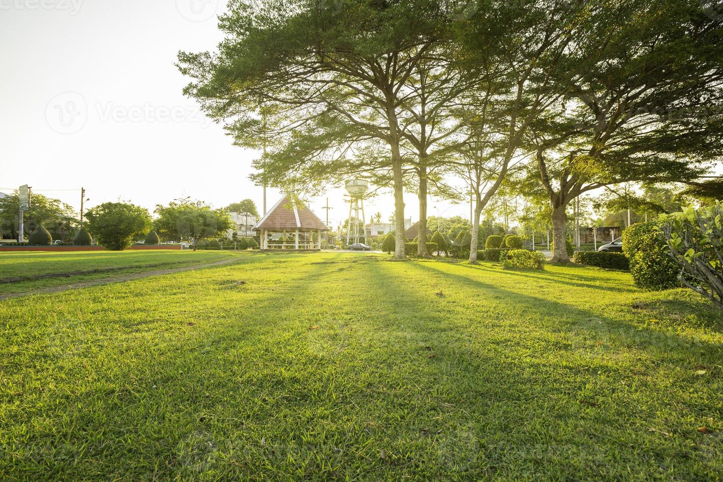 gazon en openbaar park bij zonsopgang foto