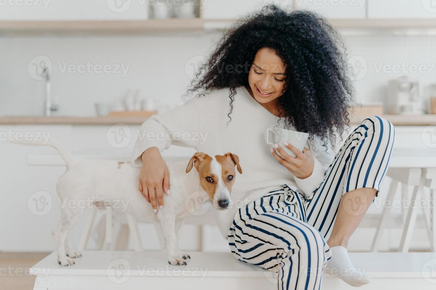 positieve krullende jonge vrouw drinkt aromatische drank, speelt met hond, poseert tegen een gezellig keukeninterieur, drukt liefde, saamhorigheid en vriendschap tussen dieren en mensen uit. huiselijke sfeer foto