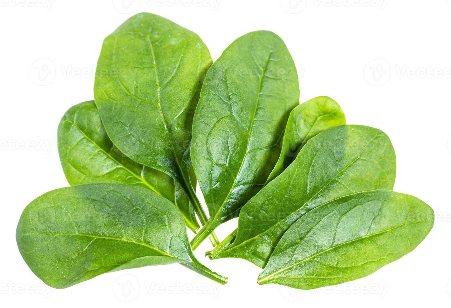 verschillende verse groene bladeren van spinazie geïsoleerd foto