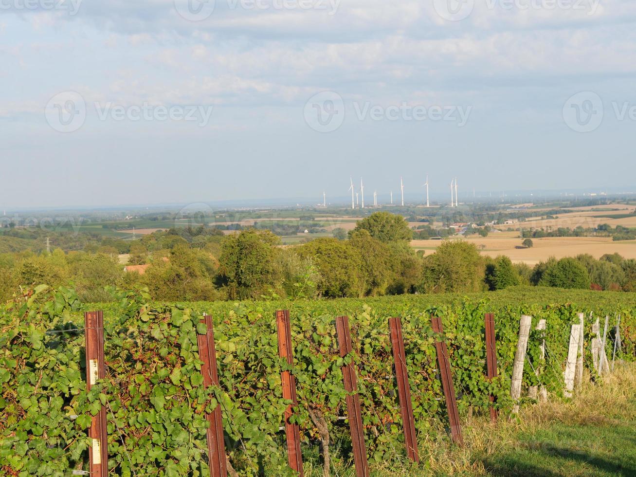 doerrenbach in de duitsland pfalz foto