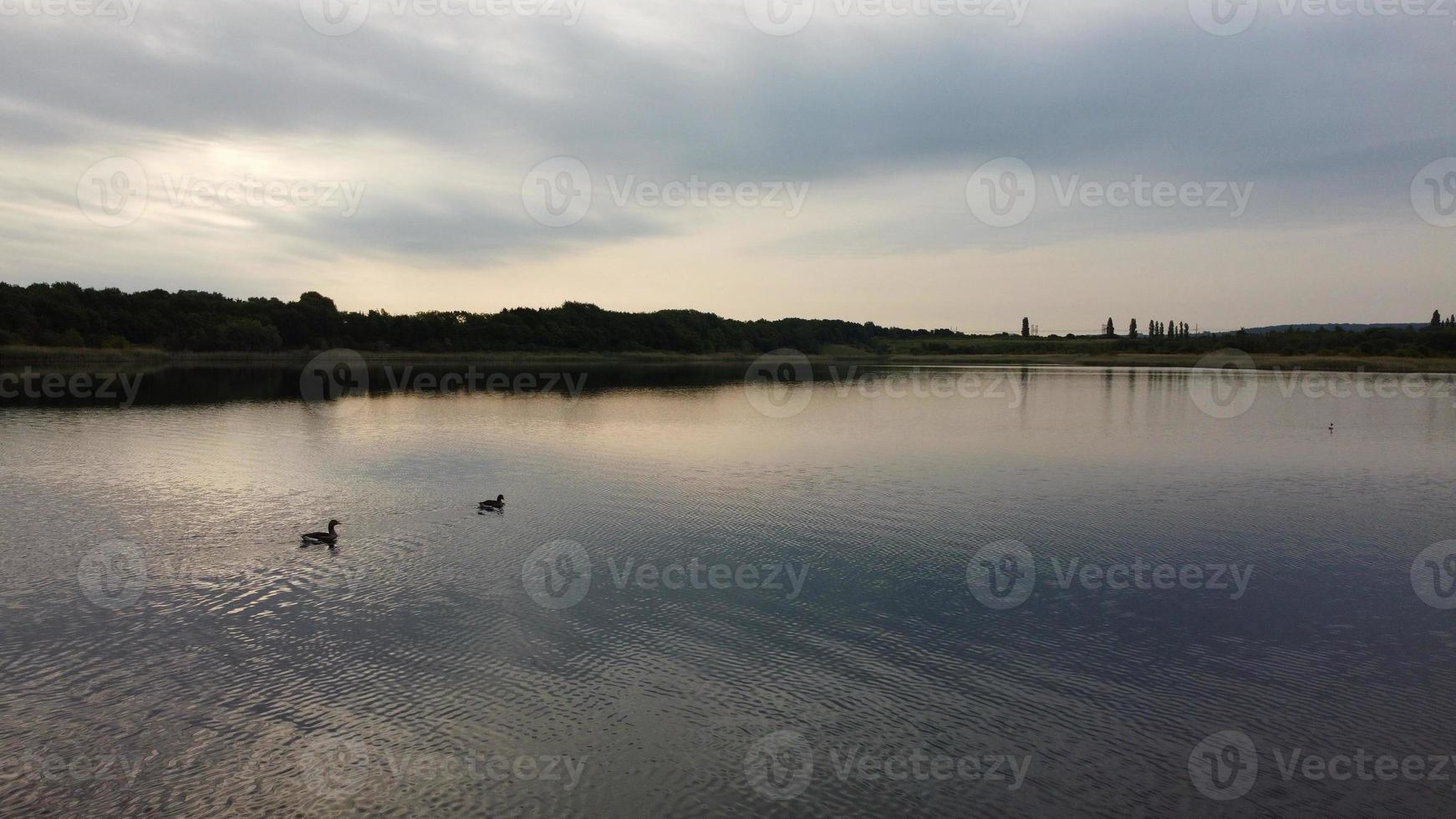 luchtfoto en hoge hoek beeld schattige watervogels zwemmen in het stewartby meer van engeland uk op mooie vroege ochtend bij zonsopgang foto