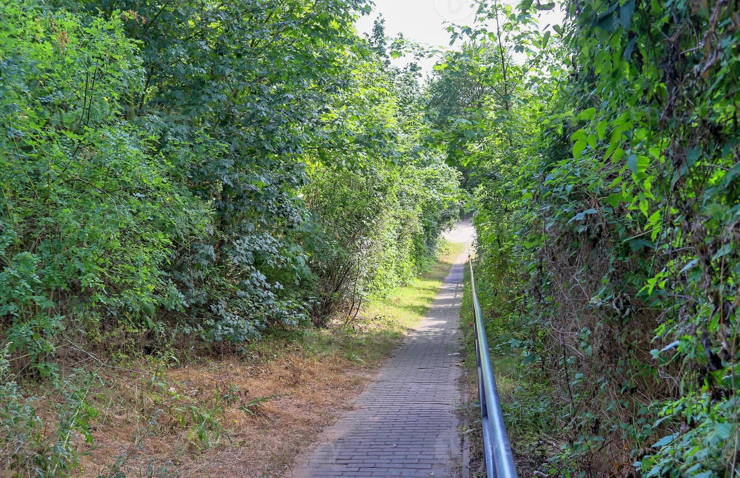 verschillende buitenaanzichten op betonnen, houten en metalen trappen. foto