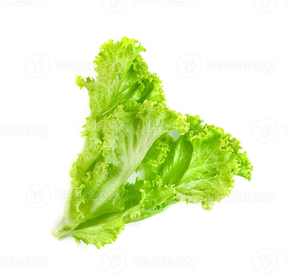 Sla blad geïsoleerd op een witte achtergrond, groene bladeren patroon, salade ingrediënt foto