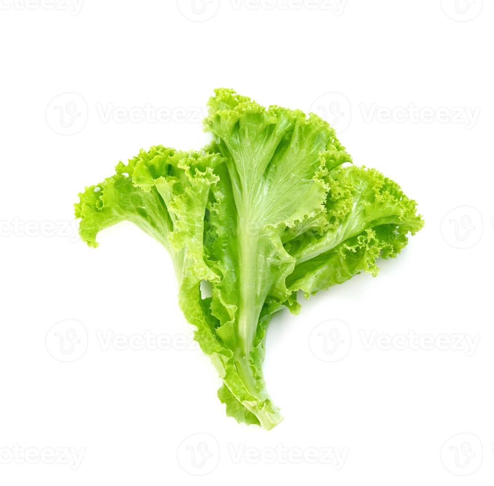 Sla blad geïsoleerd op een witte achtergrond, groene bladeren patroon, salade ingrediënt foto