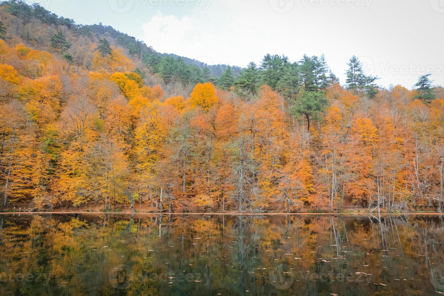 buyuk-meer in yedigoller nationaal park, turkije foto