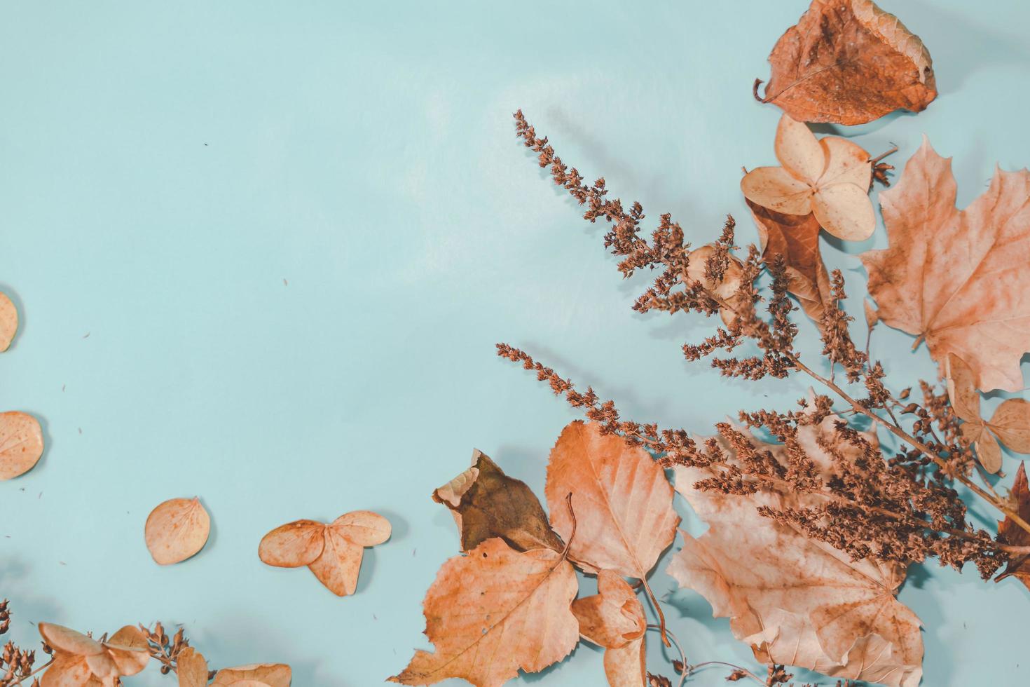 herfst samenstelling. herfstbladeren op een helderblauwe pastelachtergrond. plat lag, bovenaanzicht kopieerruimte. foto