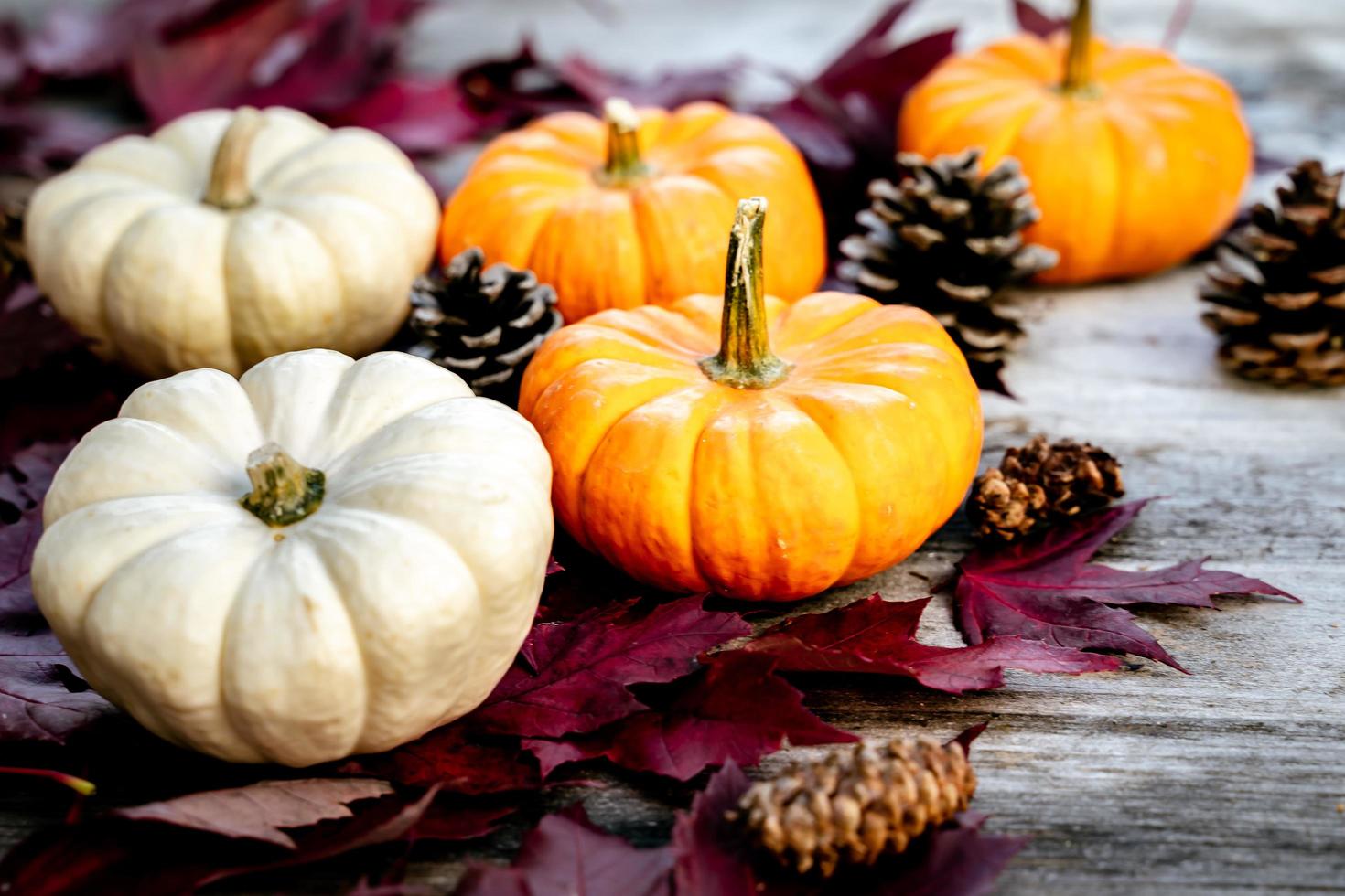 feestelijk herfstdecor van pompoenen, dennen en bladeren op een houten ondergrond. concept van thanksgiving day of halloween. plat lag herfstcompositie met kopieerruimte. foto