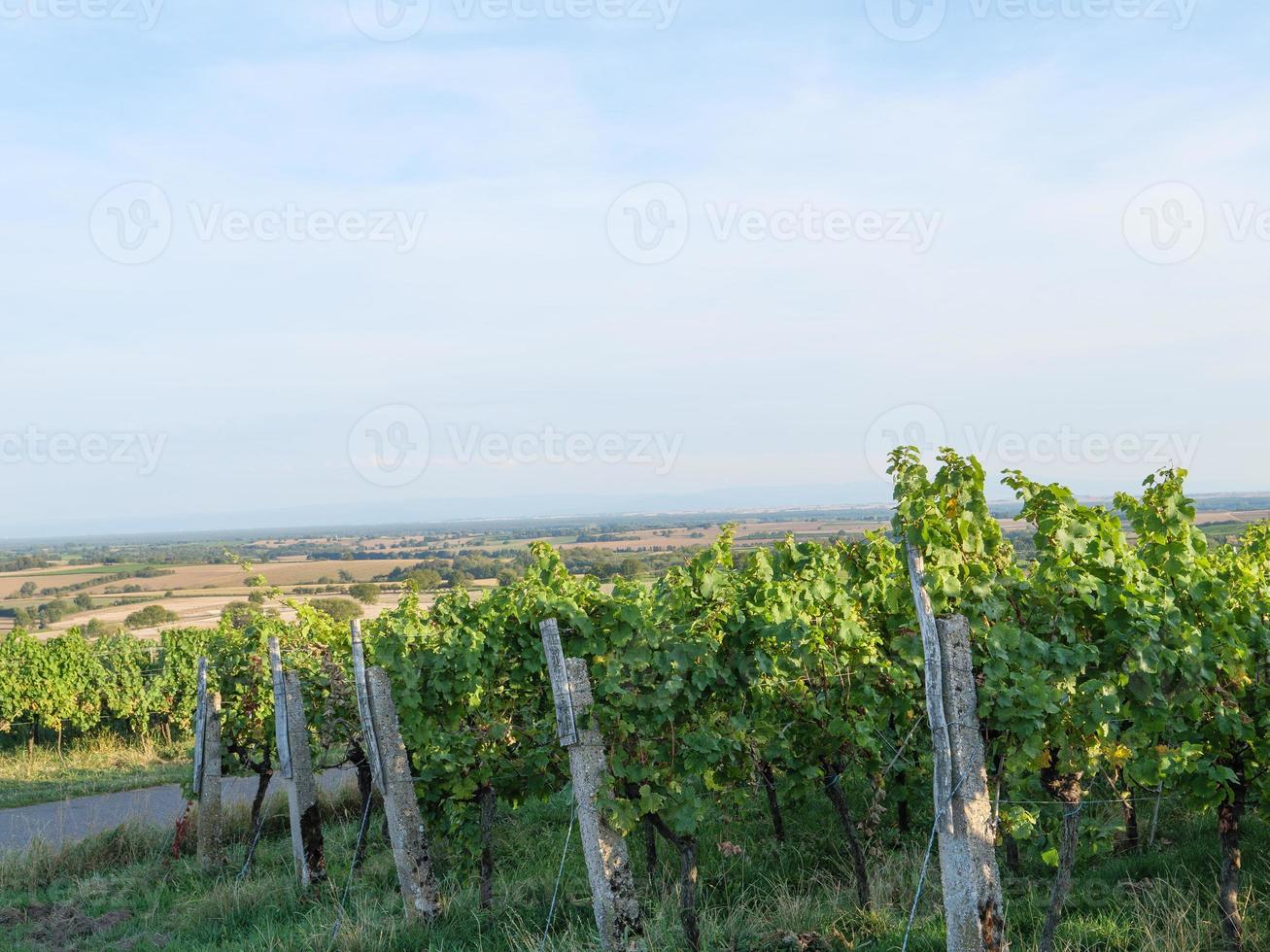 doerrenbach in de duitsland pfalz foto