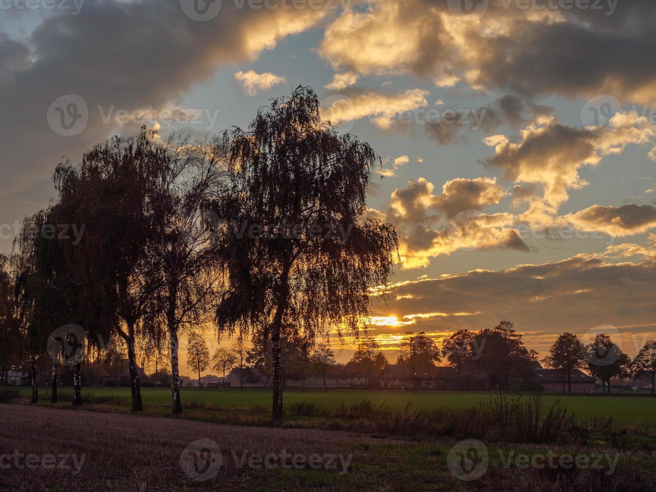 herfsttijd in Westfalen foto