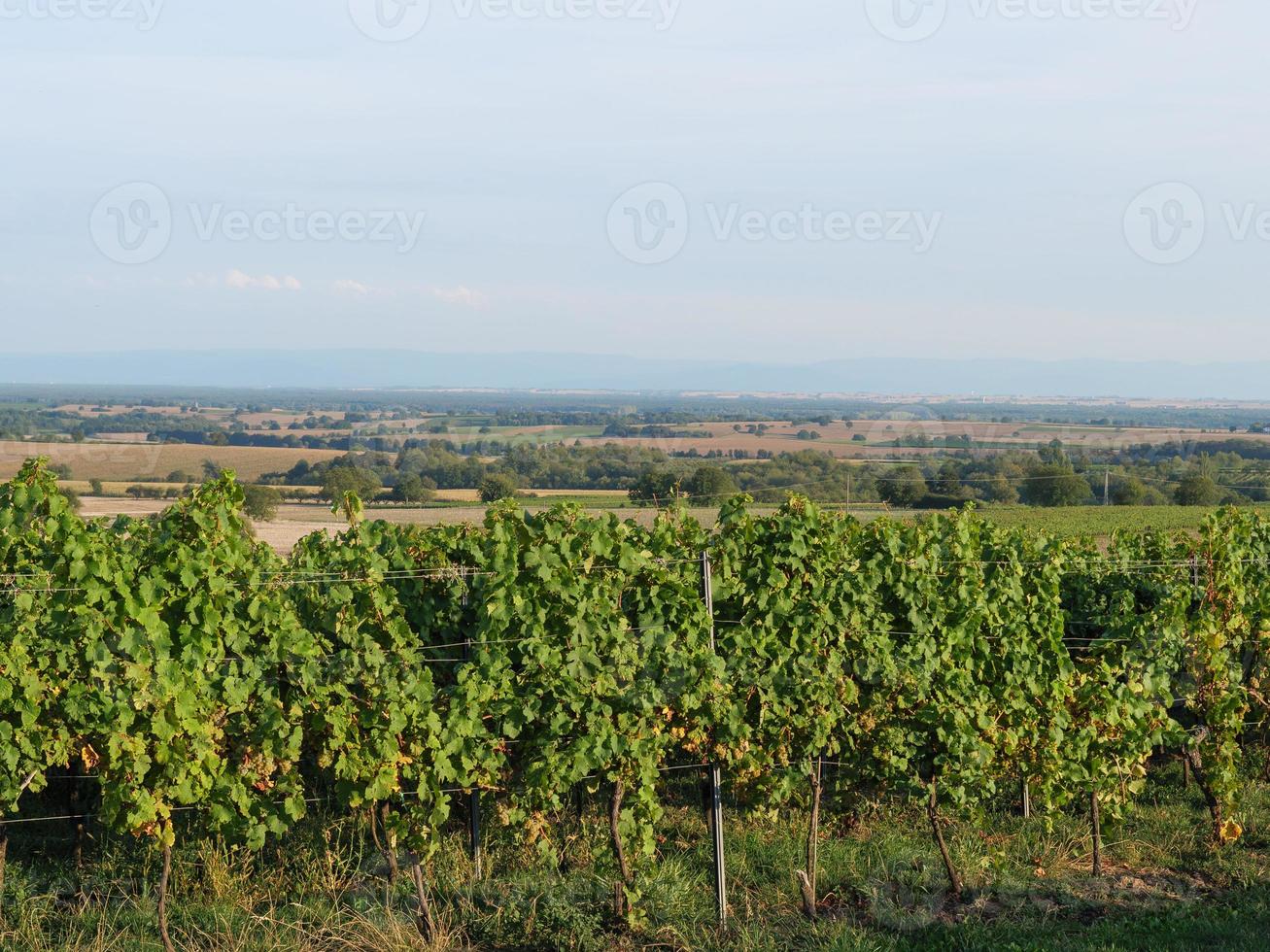 doerrenbach in de duitsland pfalz foto