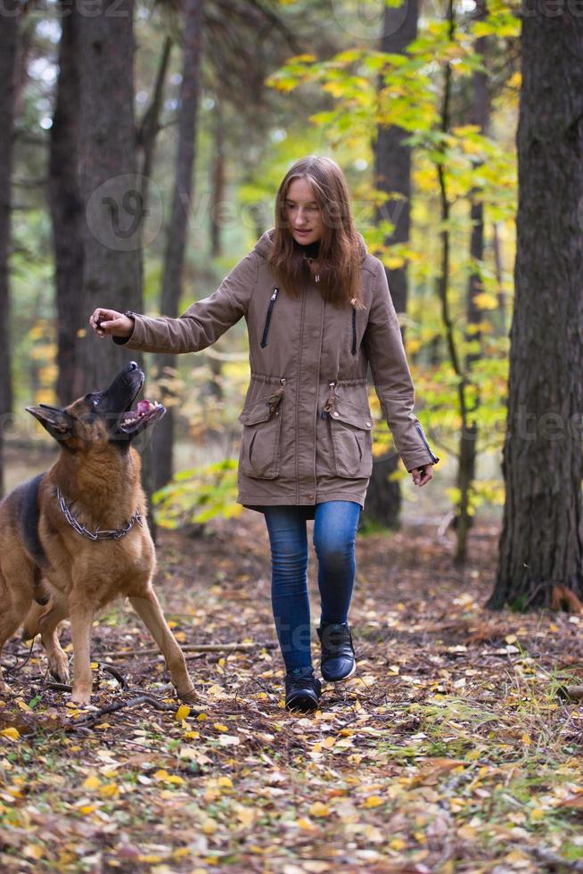 jonge leuke vrouw die met Duitse herdershond buiten in het herfstbos speelt foto