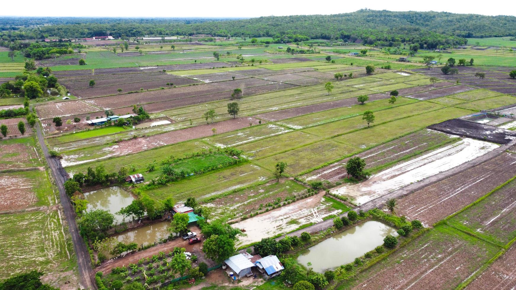 luchtfoto van groene velden en landerijen op het platteland van thailand foto