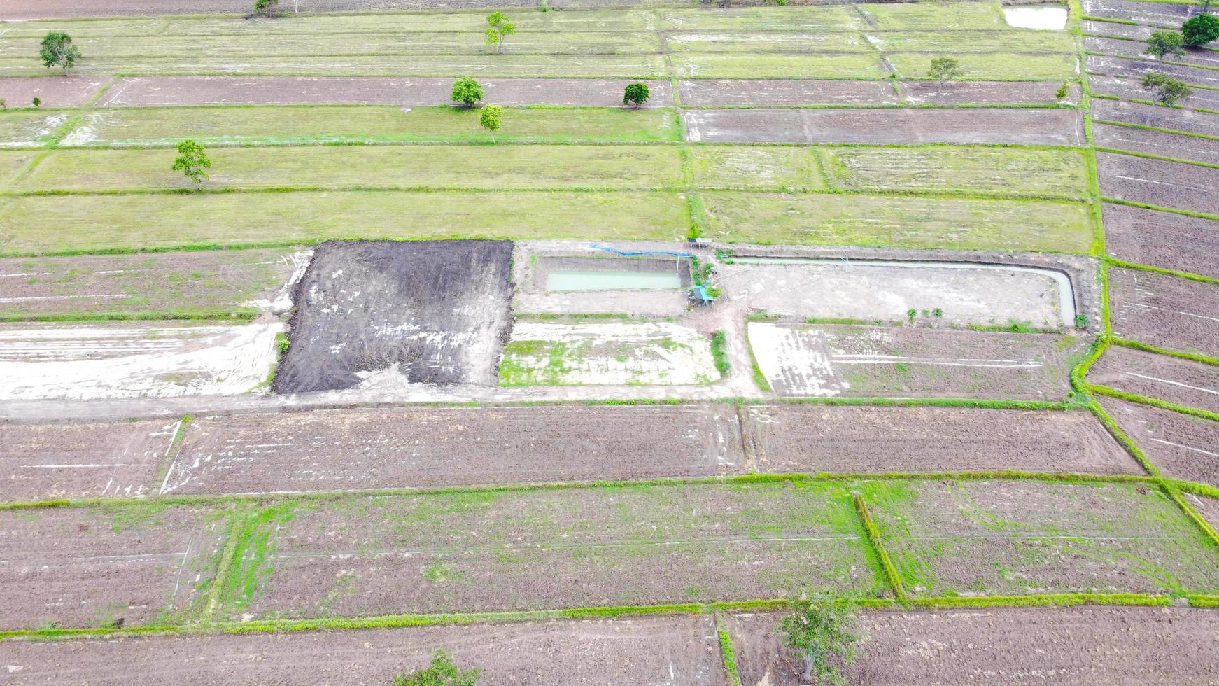 luchtfoto van groene velden en landerijen op het platteland van thailand. foto