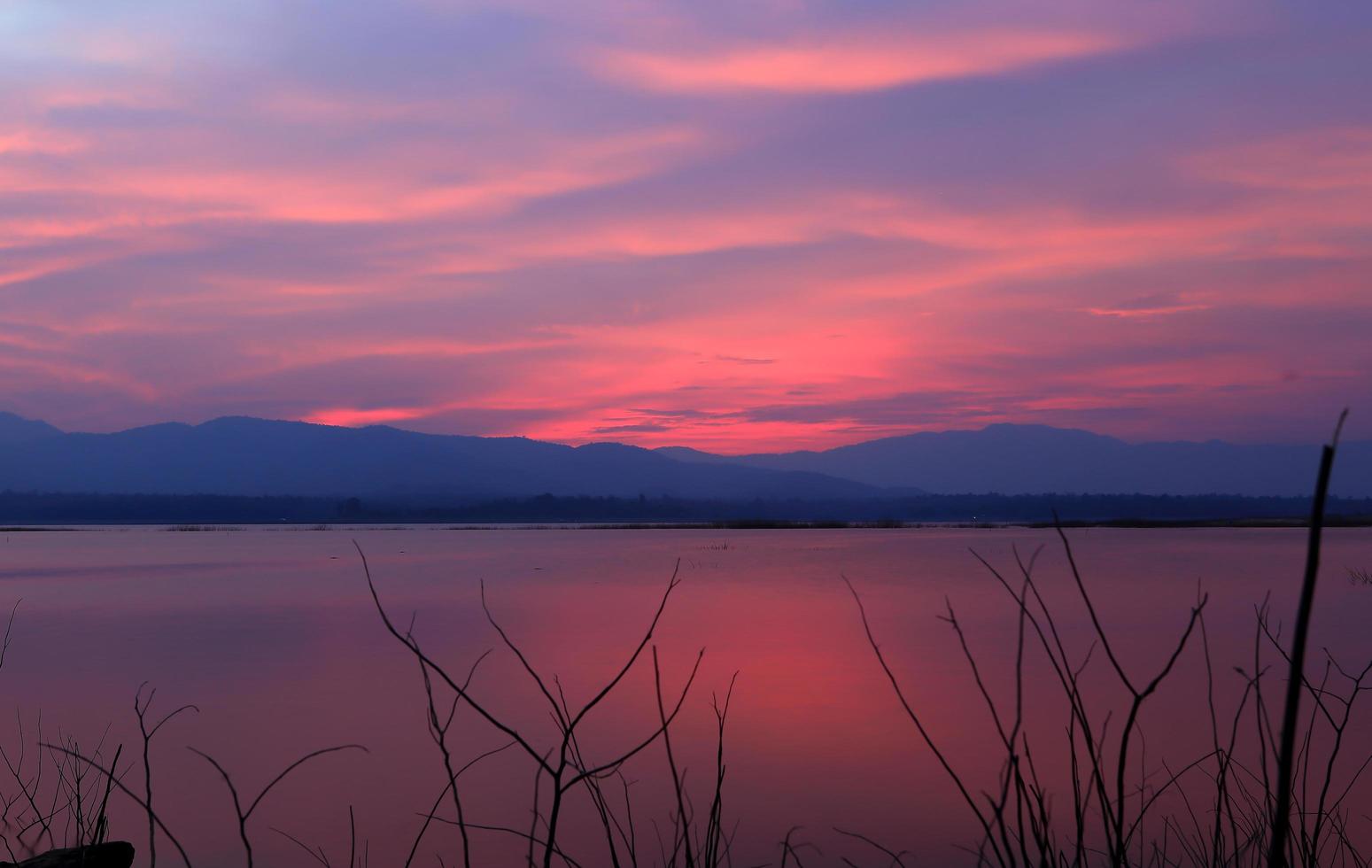 zonsondergang silhouet boom op het meer foto
