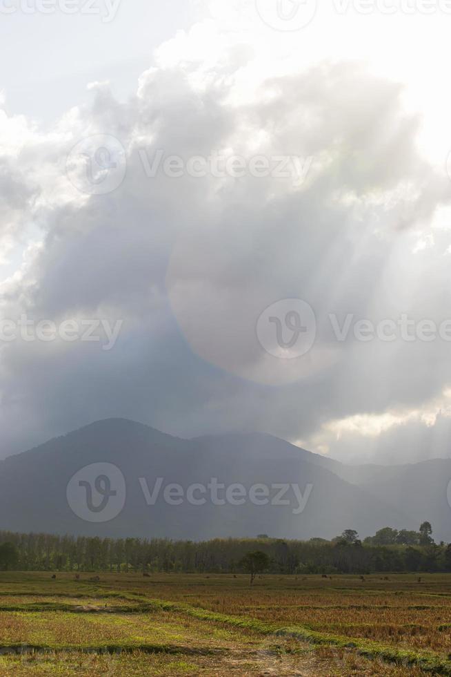 ochtendzon in het veld foto