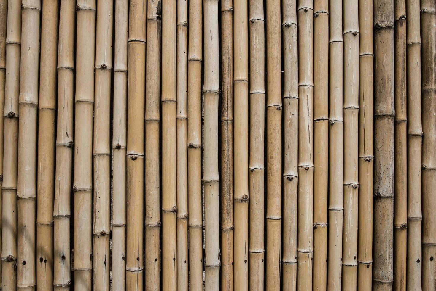 bamboe hek achtergrond foto