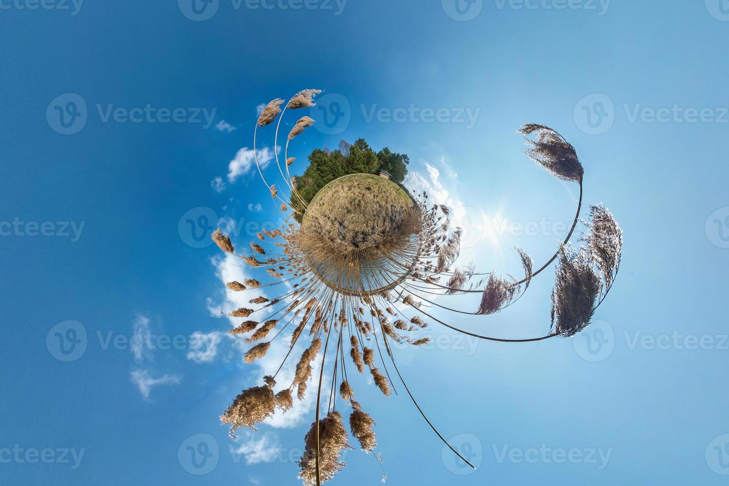 kleine planeettransformatie met kromming van de ruimte. sferische luchtfoto 360 panorama aan de oever van het meer met struikgewas van riet in de zonnige zomer foto