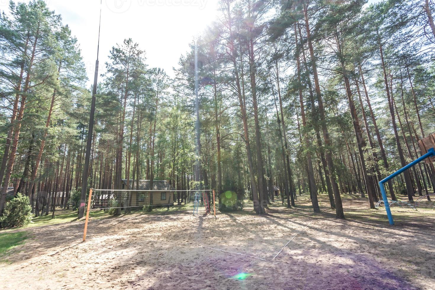 schommel en rekstok op speelplaats en basketbalveld in dennenbos foto