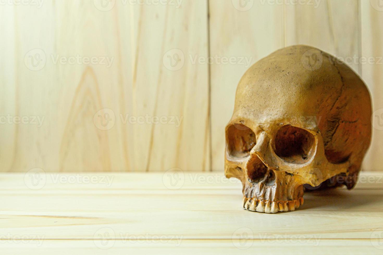 menselijke schedel op hout voor lichaamsmenselijke of halloween-inhoud. foto