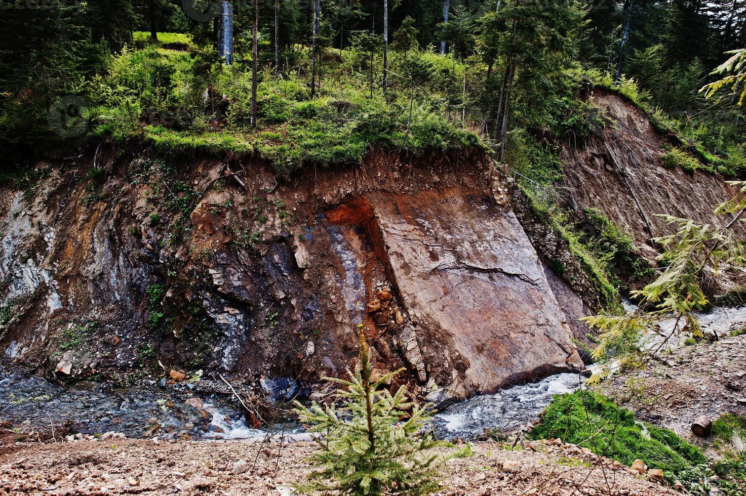 geweldig landschap met hoge Karpaten, prachtige gebogen rivier met groen bos. foto