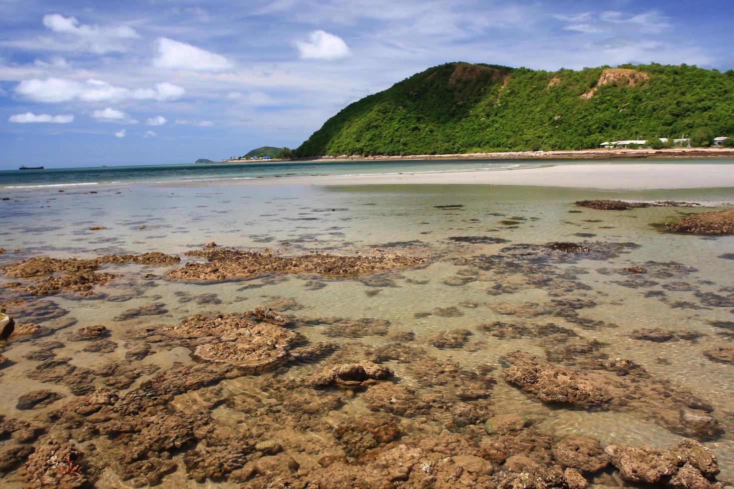 koralen in ondiepe wateren tijdens eb voor de kust, thailand foto