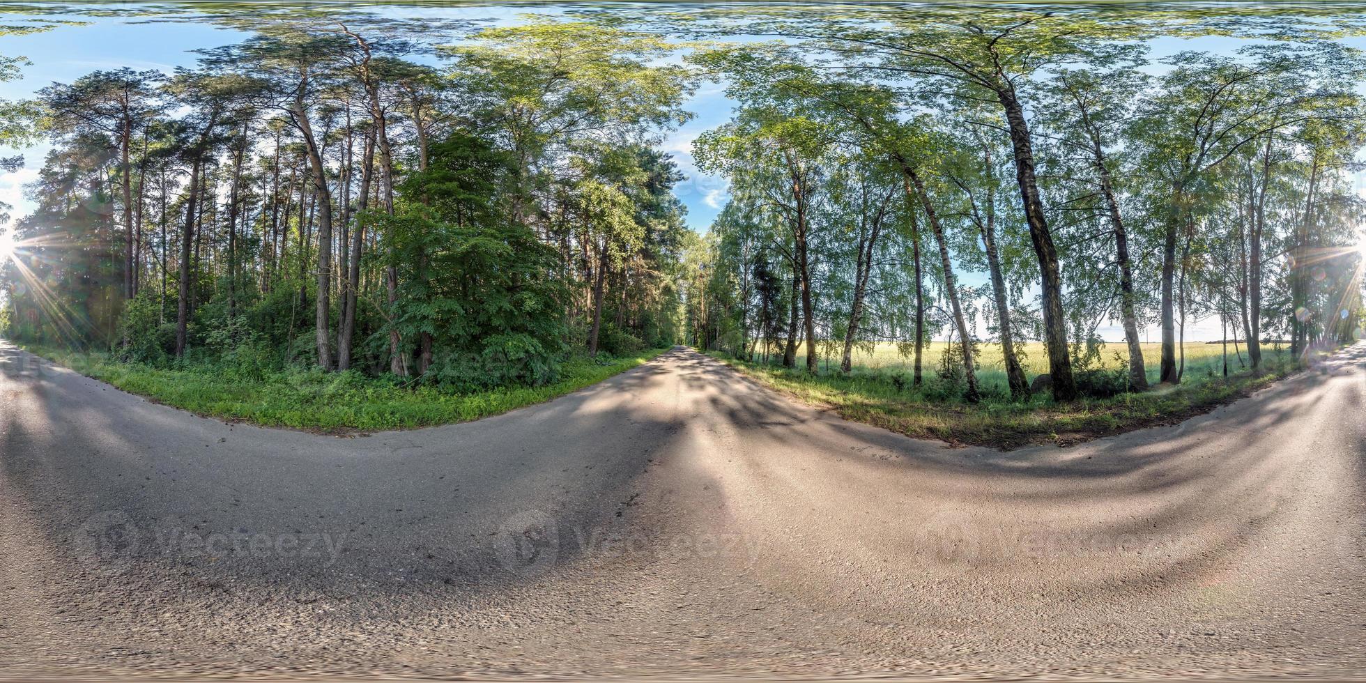 volledig naadloos bolvormig hdri-panorama 360 graden hoekzicht op geen verkeer asfaltweg tussen boomsteeg in zomerdag in equirectangular projectie, klaar vr ar virtual reality-inhoud foto