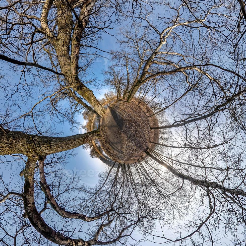 kleine planeet transformatie van bolvormig panorama 360 graden. bolvormige abstracte luchtfoto in eikenbos met onhandige takken. kromming van de ruimte. foto