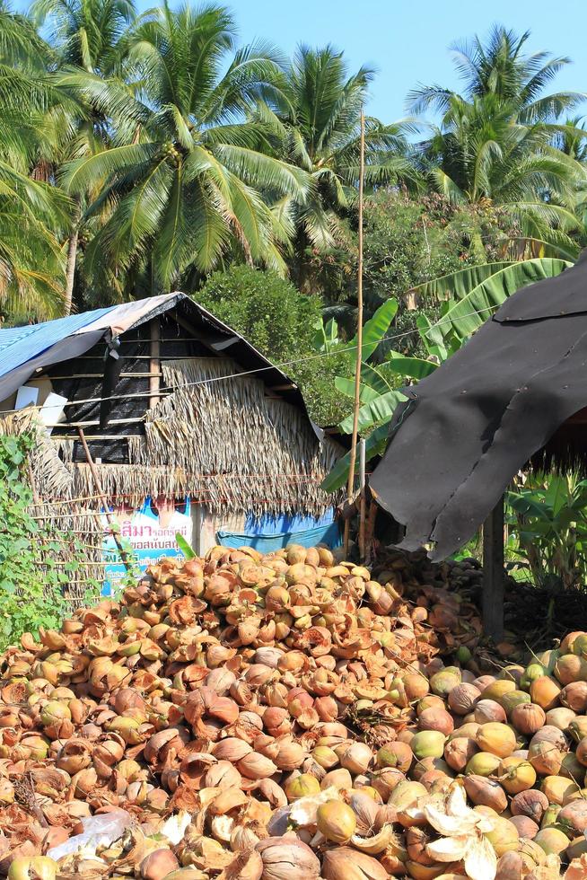 stapel afgedankte kokosnootschillen in thailand foto