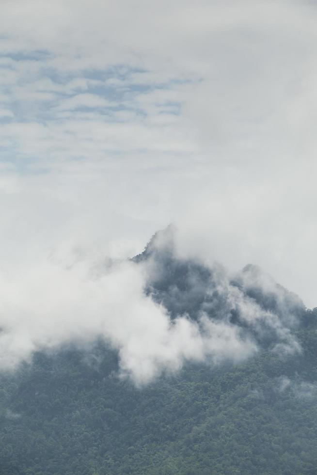 prachtig berglandschap, bos en mistig foto