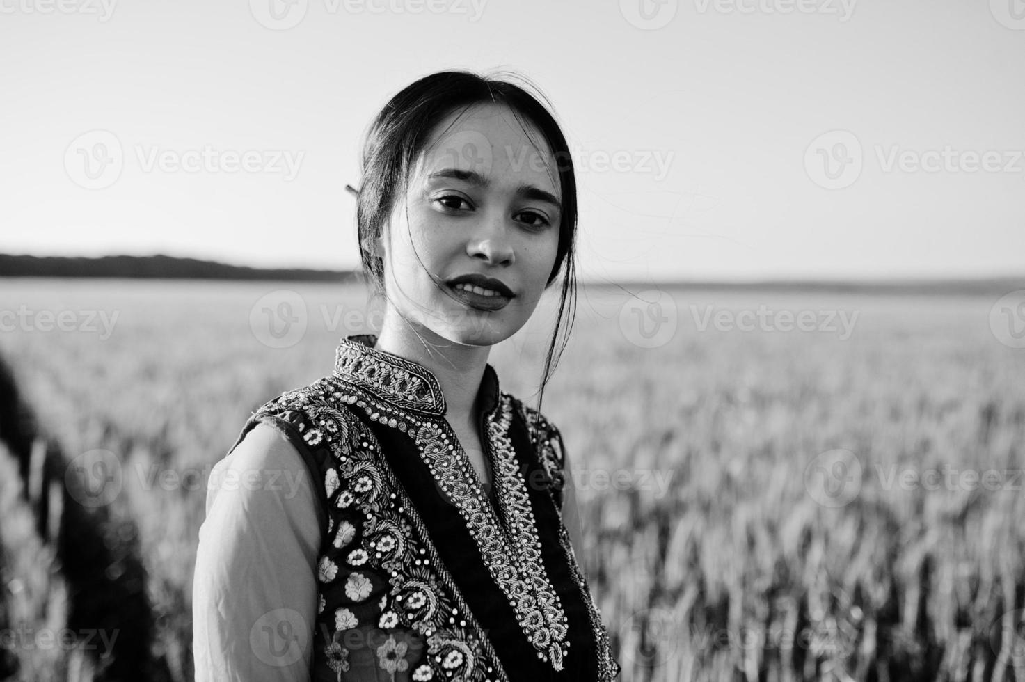 teder indisch meisje in saree, met paarse lippen make-up geposeerd op het veld bij zonsondergang. modieus Indiaas model. foto