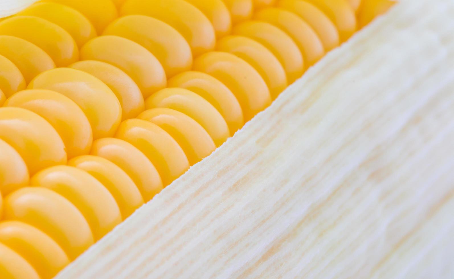 korrels van rijpe maïs macro afbeelding foto