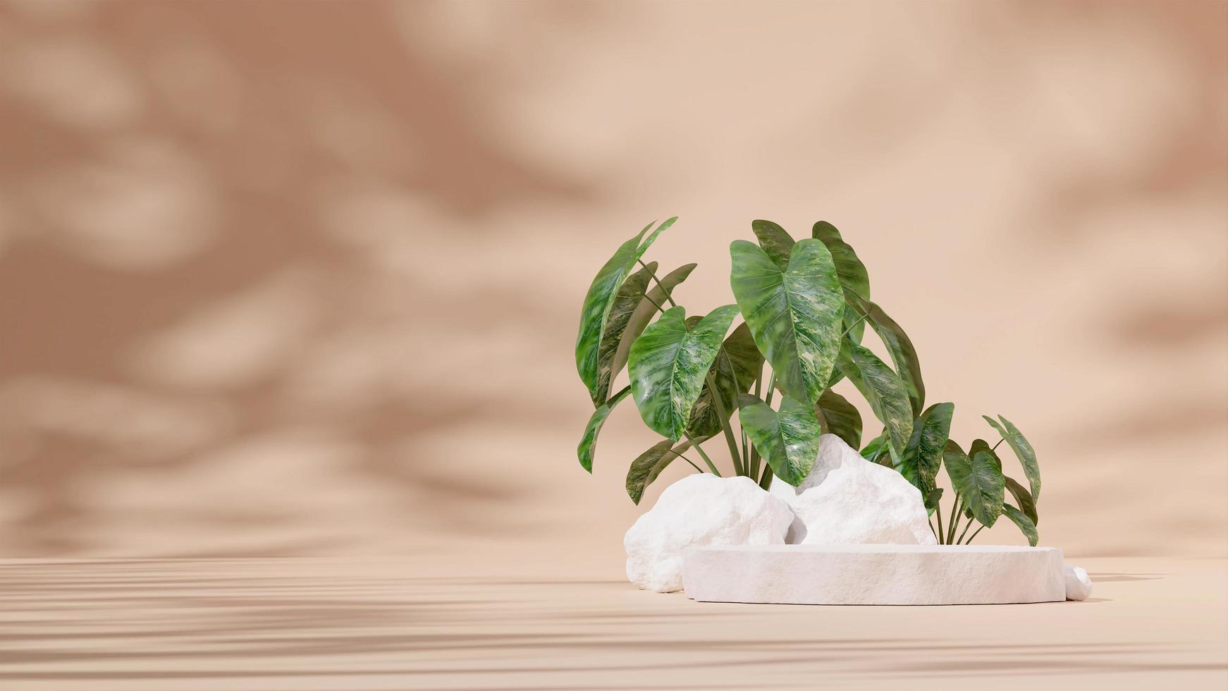 3d render sjabloon stenen podium in landschap met witte rots, alocasia plant, lichtbruine achtergrond foto