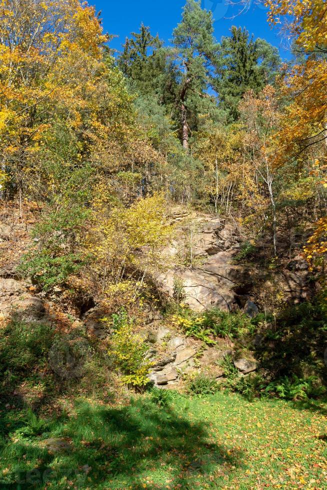 boslandschap met rotsen foto