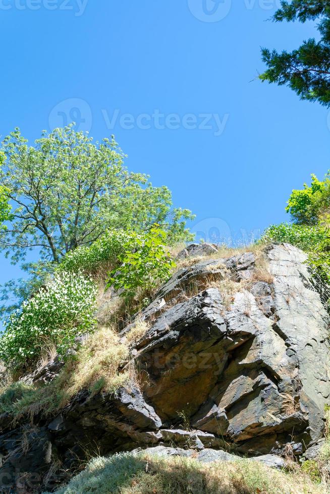 schilderachtig berglandschap met rotsen en bomen foto