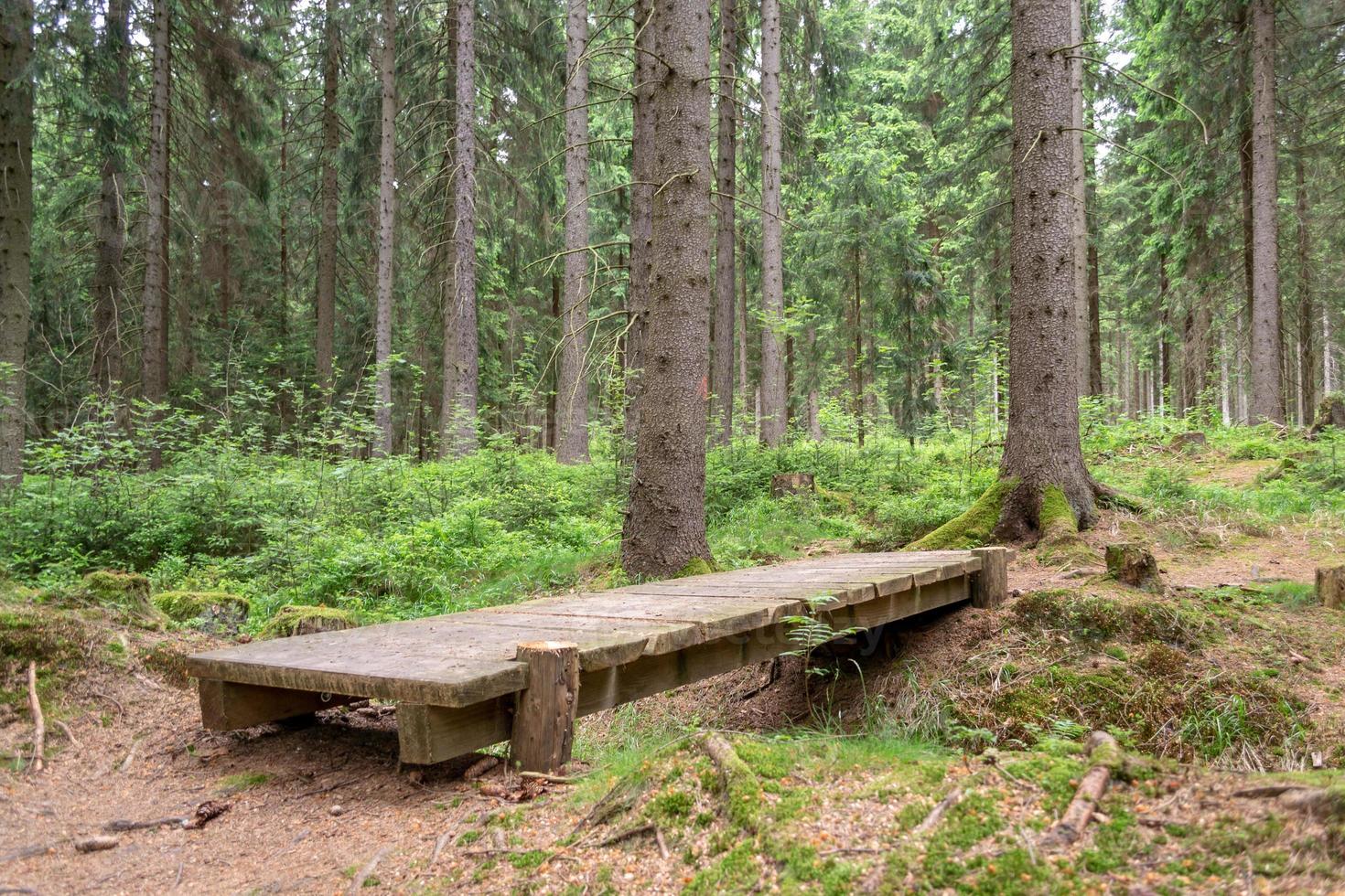 houten brug in het bos foto