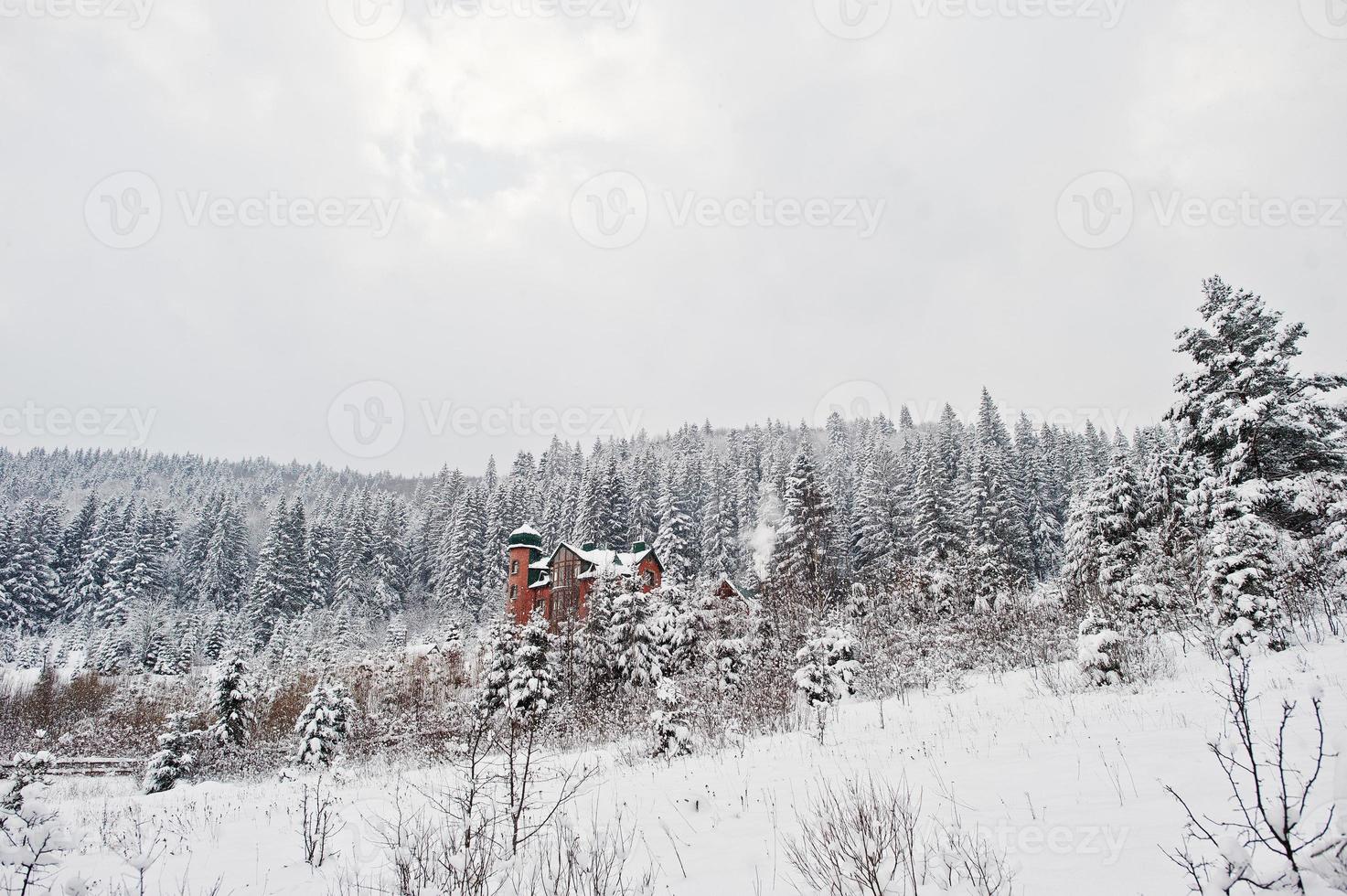 groot huis kasteel bij dennenbomen bos bedekt met sneeuw in de Karpaten. prachtige winterlandschappen. vorst natuur. foto