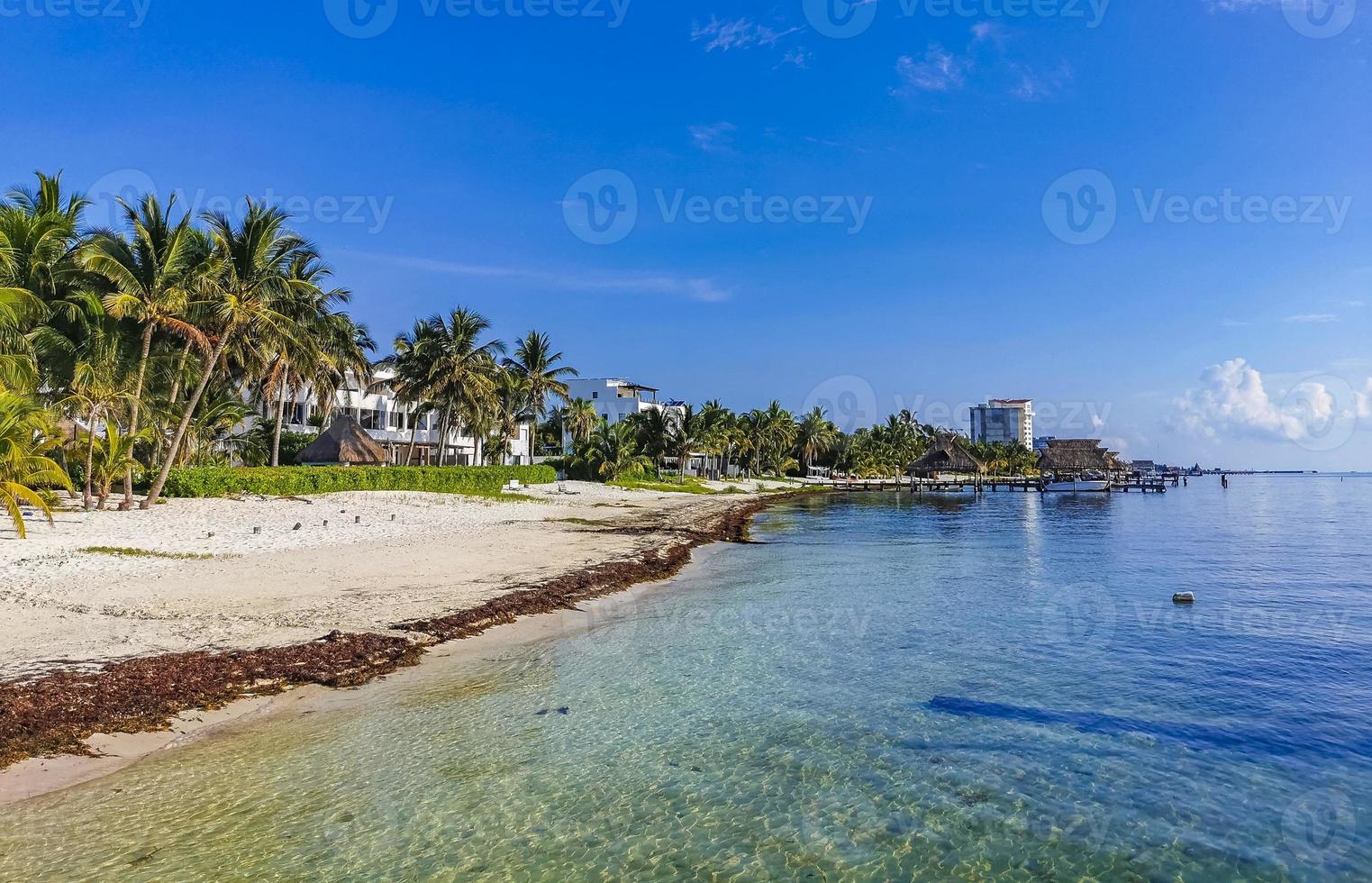 playa azul strand palm zeegezicht panorama in cancun mexico. foto