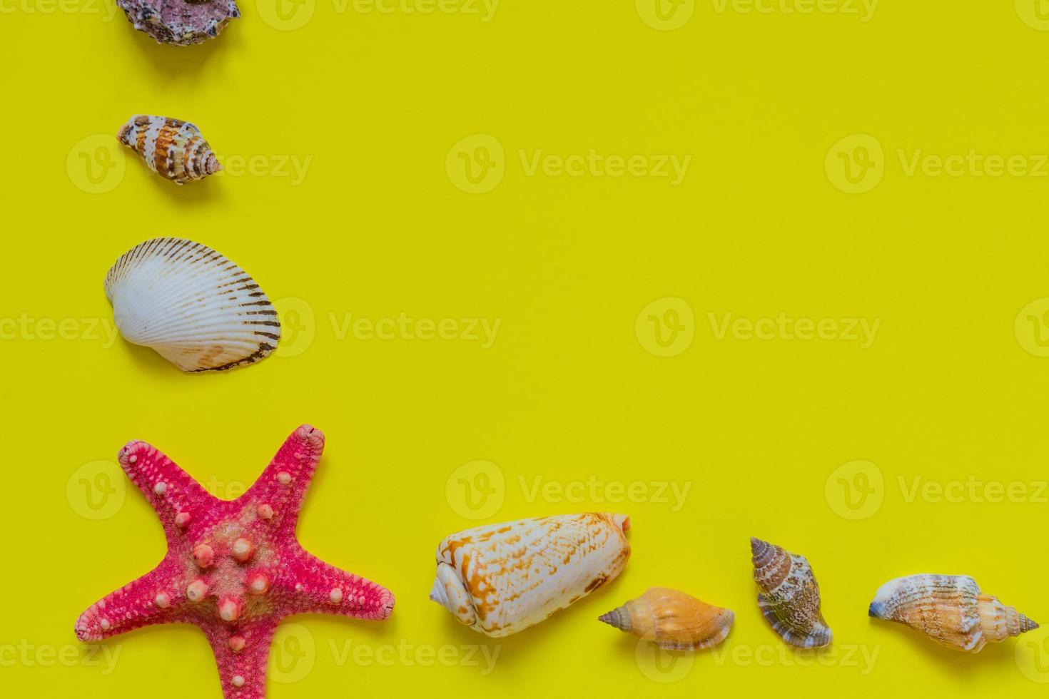 zeeschelpen en zeesterren op lichtgele achtergrond met kopieerruimte. zomervakantie en vakantieconcept foto