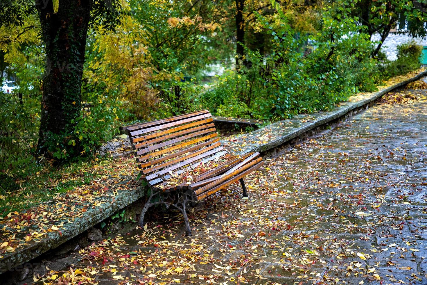 leeg eenzaam bank met bladeren in herfst park foto