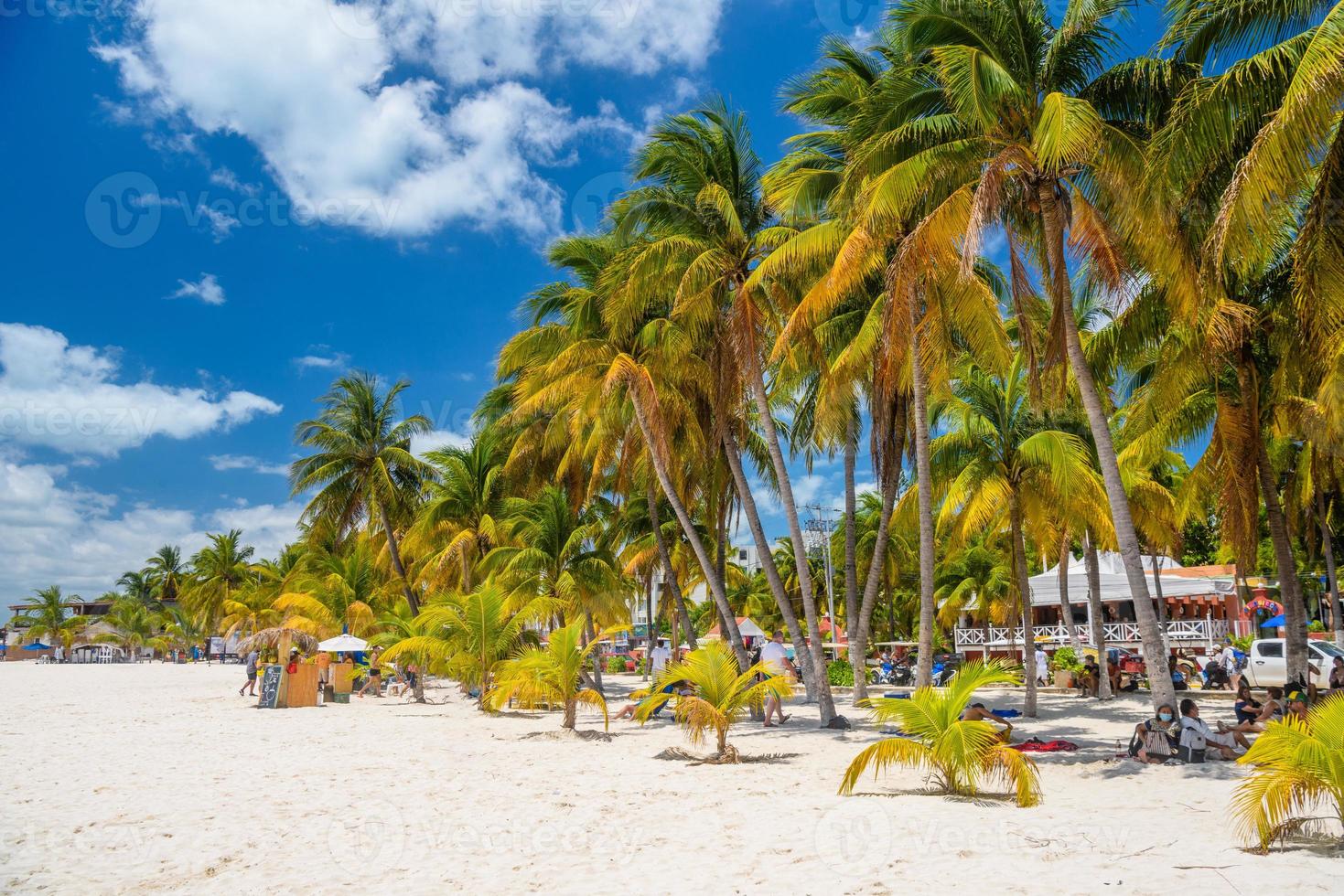 mensen zonnebaden in de schaduw van kokospalmen op het witte zandstrand, het eiland isla mujeres, de caribische zee, cancun, yucatan, mexico foto