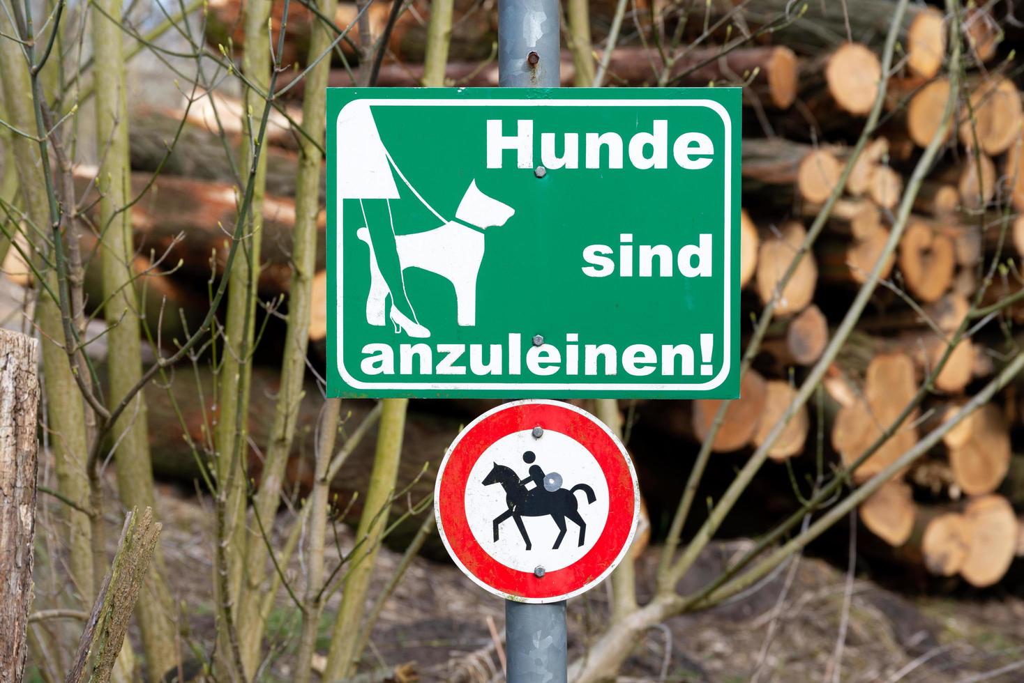 schild honden Aan riem en rijder verbod foto