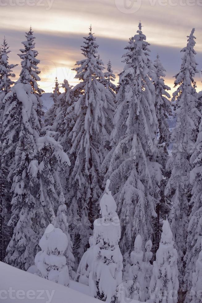 berg winterlandschap foto