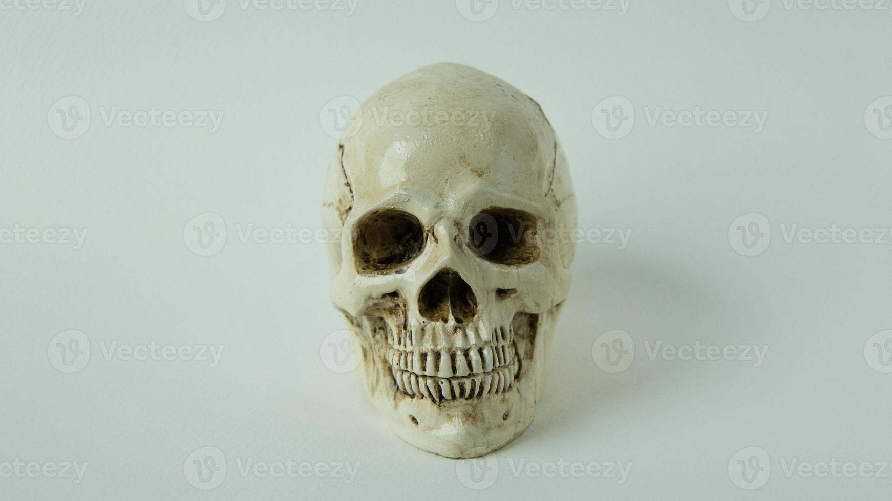 schedel close-up afbeelding op witte achtergrond. foto